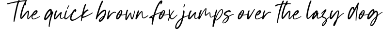 Example 30 of  Font