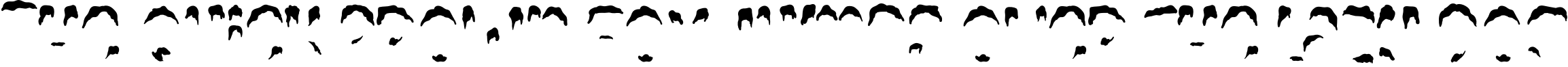 Example 1 of  Font