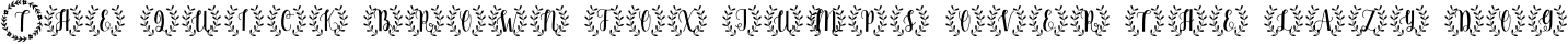 Example 4 of  Font