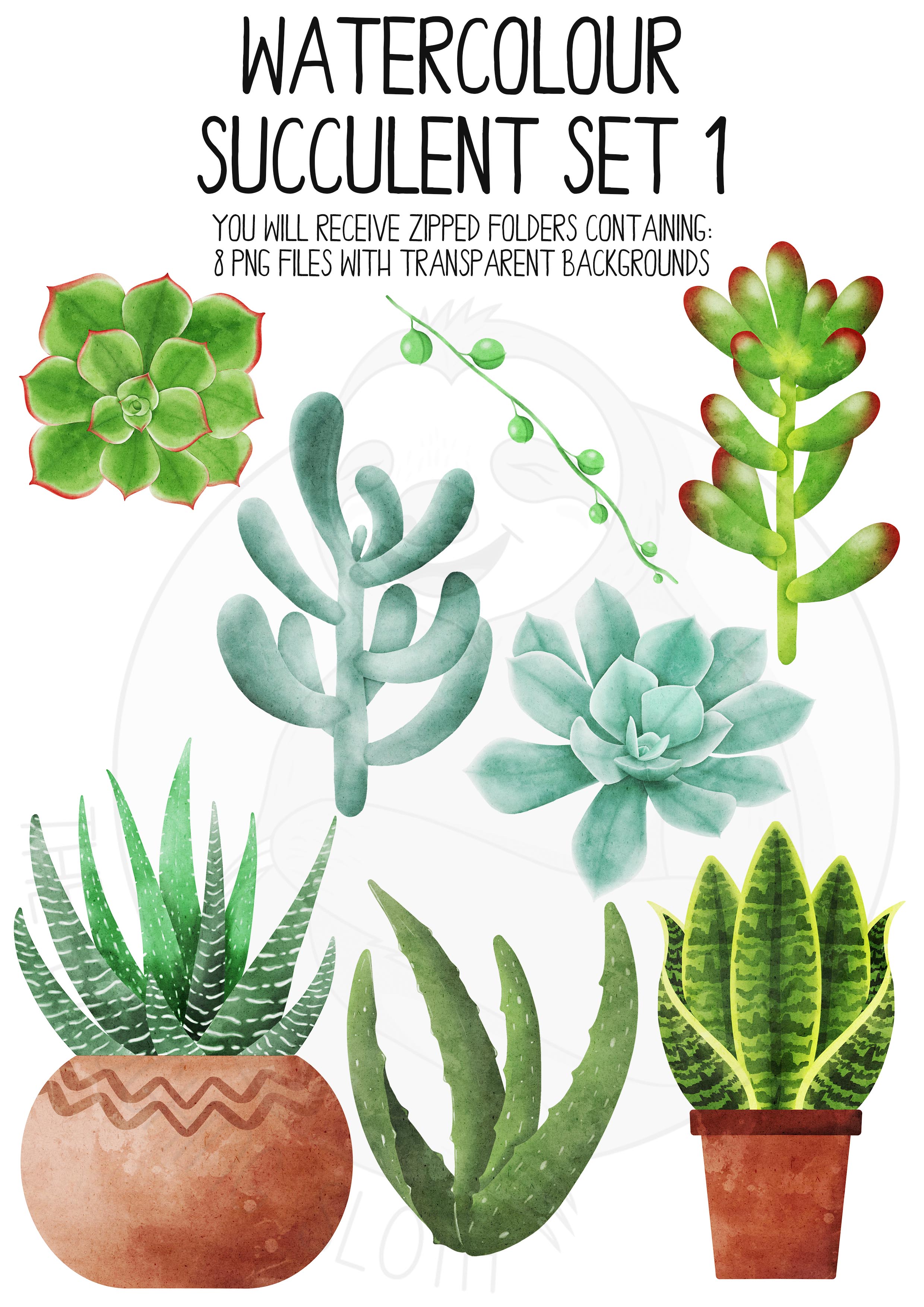 watercolor succulent clip art set