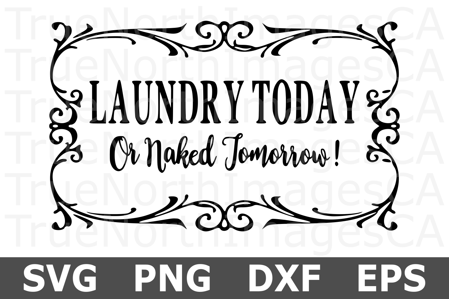 Laundry Today Naked Tomorrow A Home Svg Cut File Cut Files