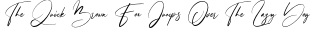 Steffyray preview for Steffyray Signature Font