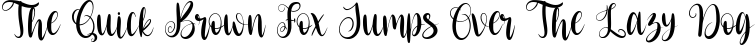 Font preview for Merry Script