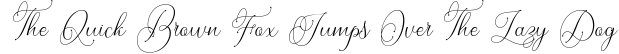 Font preview for Dellina Script