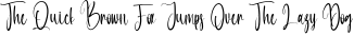 Font preview for Liberation - Christmas Calligraphy Font