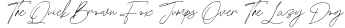 Font preview for Silver Cycles Signature Script Font
