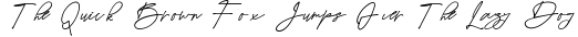 Insporta-Signature preview for Insporta Signature - Sport Dispay Duo Font