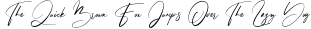 Steffyray preview for Steffyray Signature Font