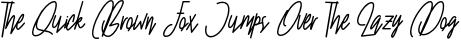 Colding Antuica preview for Colding Antuica Font Duo