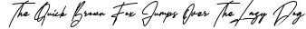 Hollestik preview for Hollestik Signature Font
