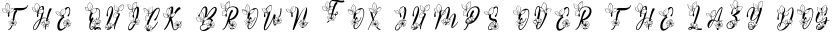Font preview for Saylendra Monogram