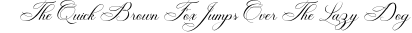 WellingtonScript-Regular preview for Wellington Script
