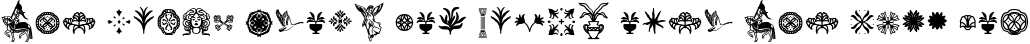 CELARIN Icon preview for CELARIN Display Font