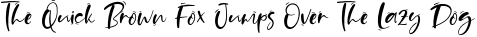 SandBeach-Regular preview for Sand Beach Script