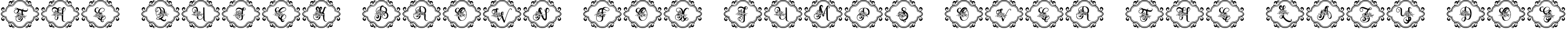 ZahiyaMonogram-DecoFrame preview for Zahiya Monogram Font - 4 Style Monogram