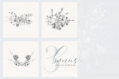 Botanical Illustrations Vol.2 Product Image 3