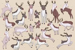 Reindeers Product Image 2