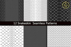 Snakeskin Seamless Patterns Product Image 1