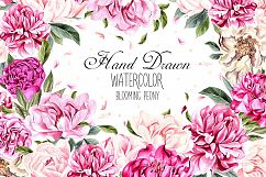 Hand Drawn Watercolor BUNDLE 5 Product Image 9