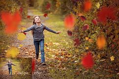 97 Autumn Leaves Photo Overlays Product Image 10