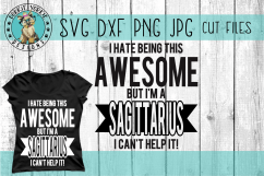 I hate being this awesome but i&#039;m a - BUNDLE SVG Cut File Product Image 10