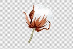 Cotton soft flower PNG watercolor set Product Image 5