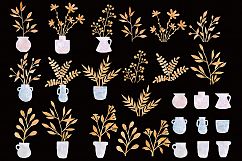 Goldie Plants Collection Product Image 4