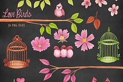Love Birds and Birdcages Product Image 4