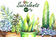 Watercolor Succulents Clip Art Set Product Image 5