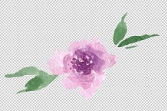 Delicate colorful peony PNG watercolor set Product Image 9