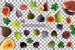 Watercolor Fig clip art pack,common fig leaves, fig fruit Product Image 2
