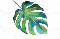 Watercolor Flamingos Clipart with watercolor leafs. 5 flamingos and 7 green leafs, flamingos and leafs collection, greenery, diy invitation Product Image 7