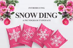 Snow Ding Product Image 2