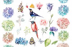 HandDrawn Watercolor Bundle FLOWERS3 Product Image 2