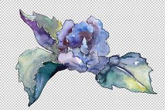 Pink and blue gardenia flowers PNG watercolor set   Product Image 4