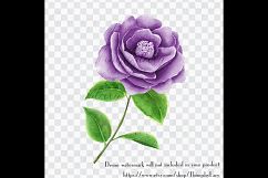 100 Watercolor Camellia Flower Clip Arts, Romantic Scrapbook Product Image 3