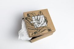 Premium Botanical Illustrations - Plants Product Image 3