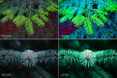 Fir Branches Lr Presets Product Image 3