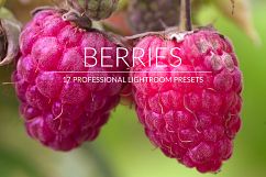 Berries Lr Presets Product Image 1