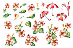 Red and white petunias and umbrellas Product Image 3