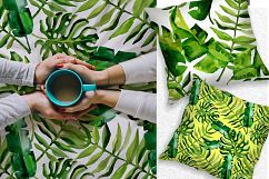 Succulent Tropical leaves PNG watercolor set Product Image 4