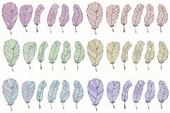 Feathers Product Image 4