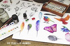 Watercolor bird, feathers, flowers Product Image 3