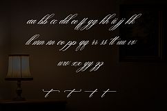 Faradisa Script Product Image 7