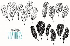 Feathers Product Image 2