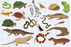 Reptiles Product Image 2