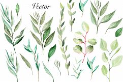 Hand Drawn Watercolor Flowers 64 PNG&amp;VECTOR Product Image 15