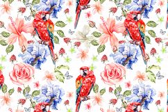 Hand Drawn watercolor TROPICS Product Image 6