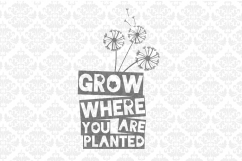 Grow Where You Are Planted Dandelion Product Image 1
