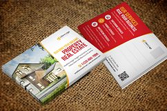 Postcard &amp; Rackcard DL Flyer v3 Product Image 7